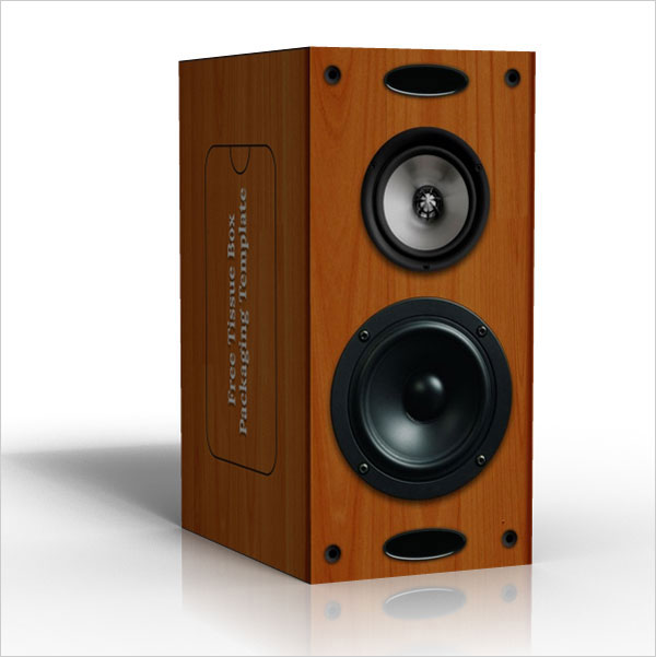 Wooden Speaker Box Designs