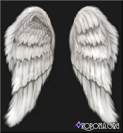 Angel Wings PSD