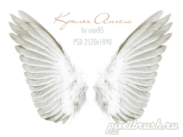 Angel Wings Template