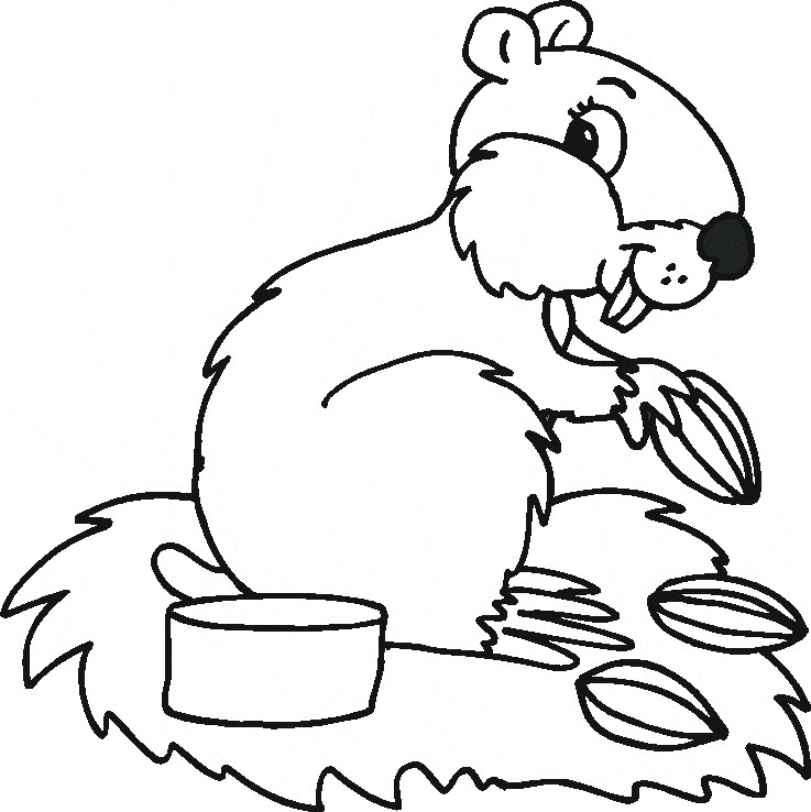 Animal Coloring Pages to Color