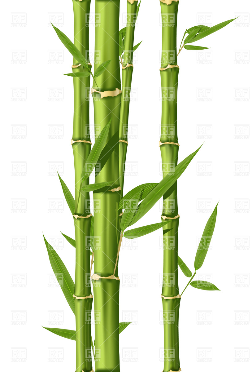 Bamboo Clip Art Free