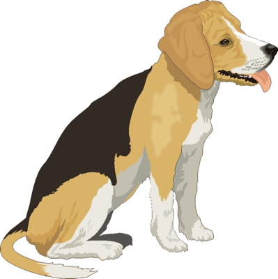 Beagle Dog Clip Art