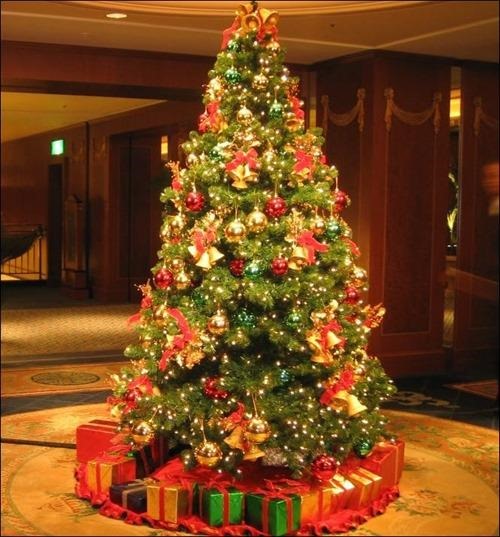 16 Christmas Tree Photography Images