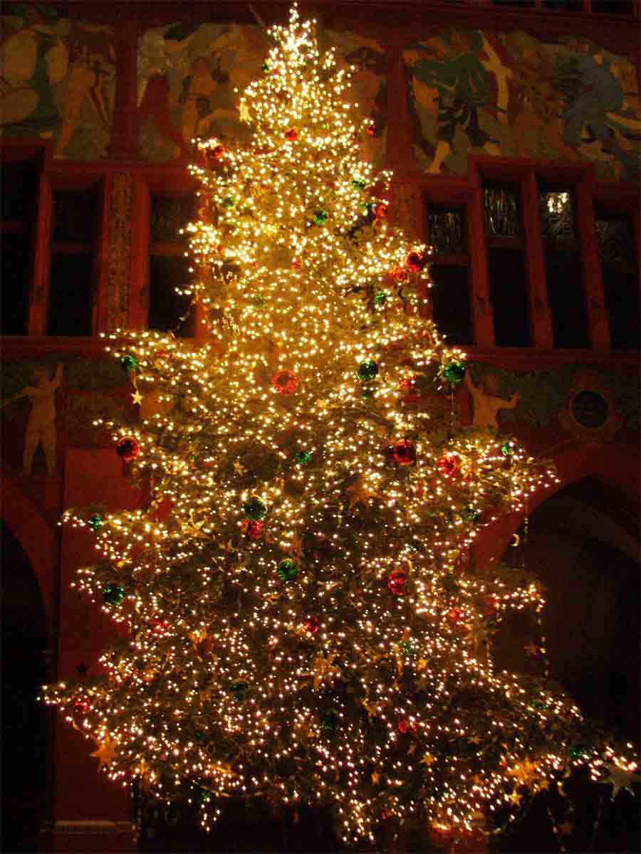 Beautiful Christmas Tree