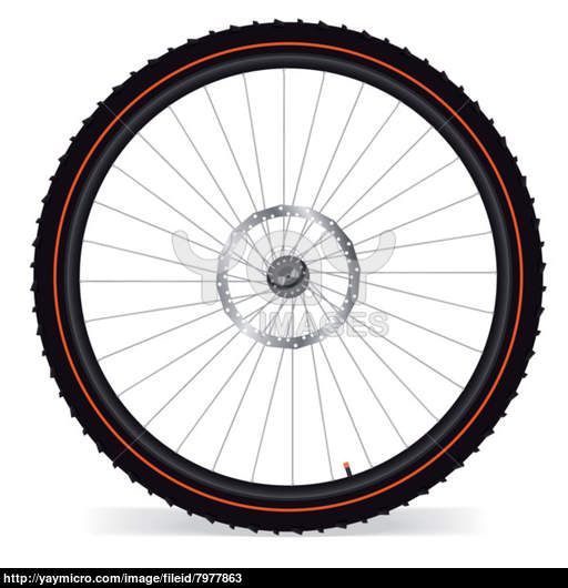 Bicycle Wheel Vector