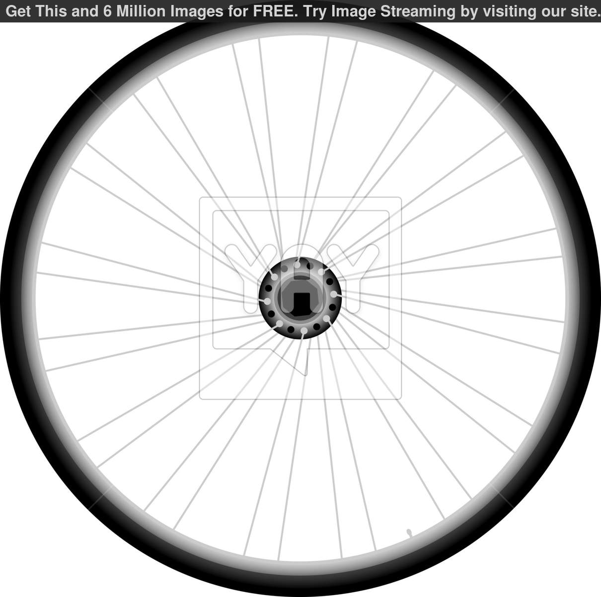 Bike Wheel Vector