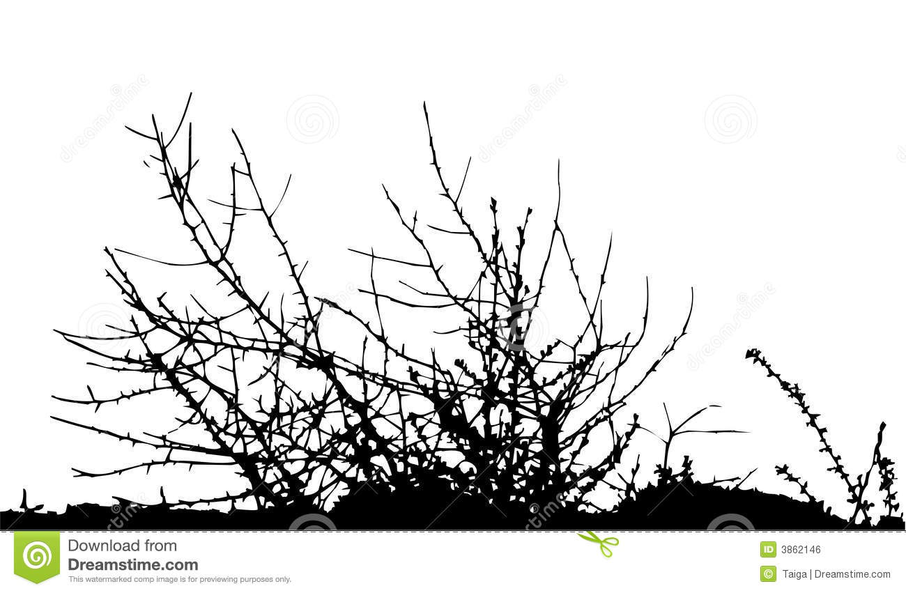 Bush Silhouette Vector Bush Silhouette Vector