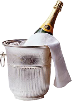 Champagne Bottle Bucket Champagne Bottle Bucket