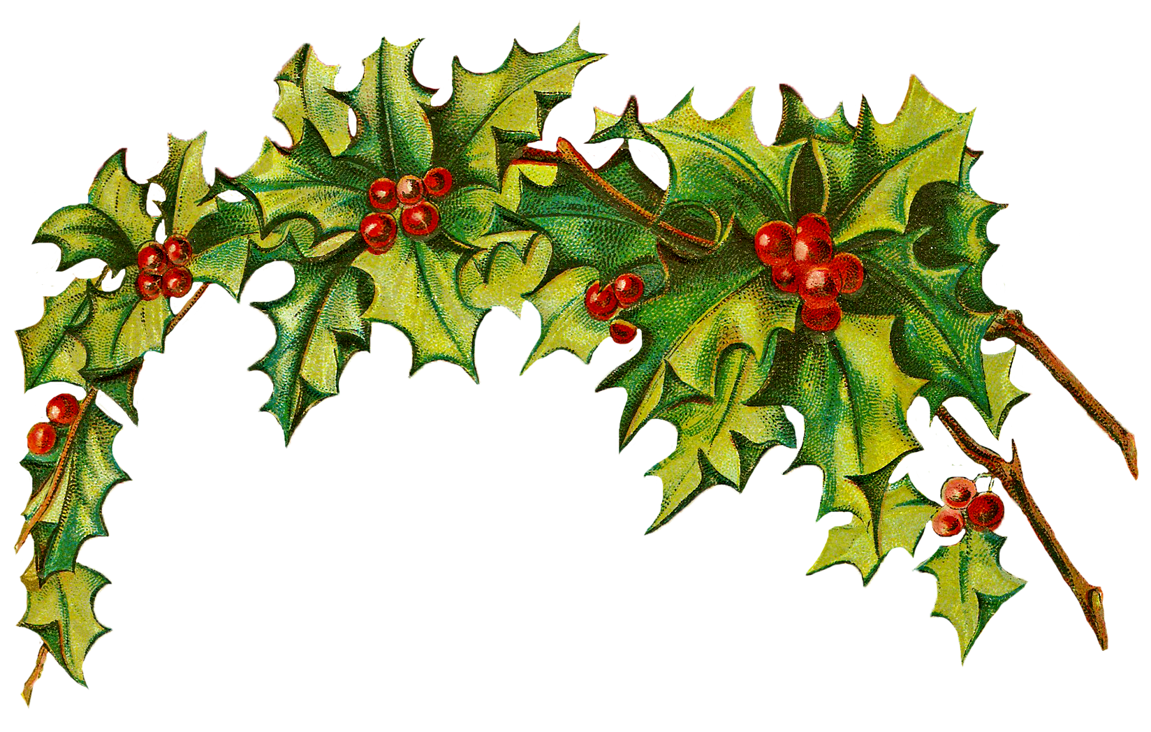 Christmas Holly Border Free Clip Art