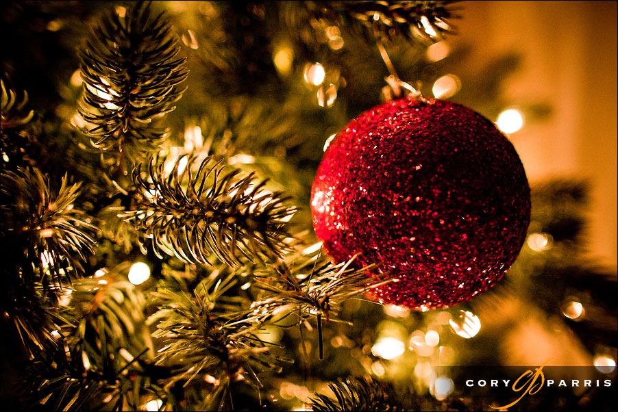 Christmas Tree Ornament Photography