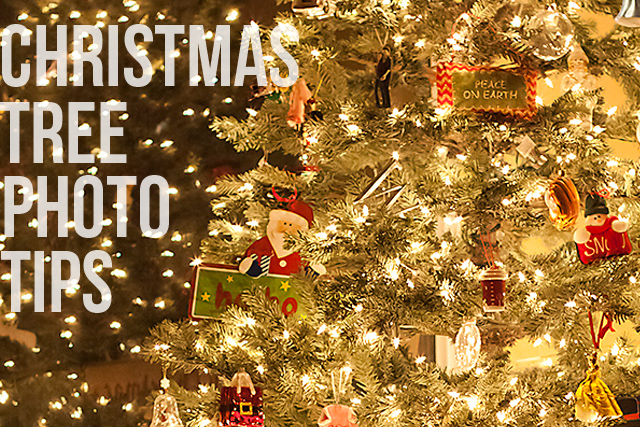 Christmas Tree Photography Tips