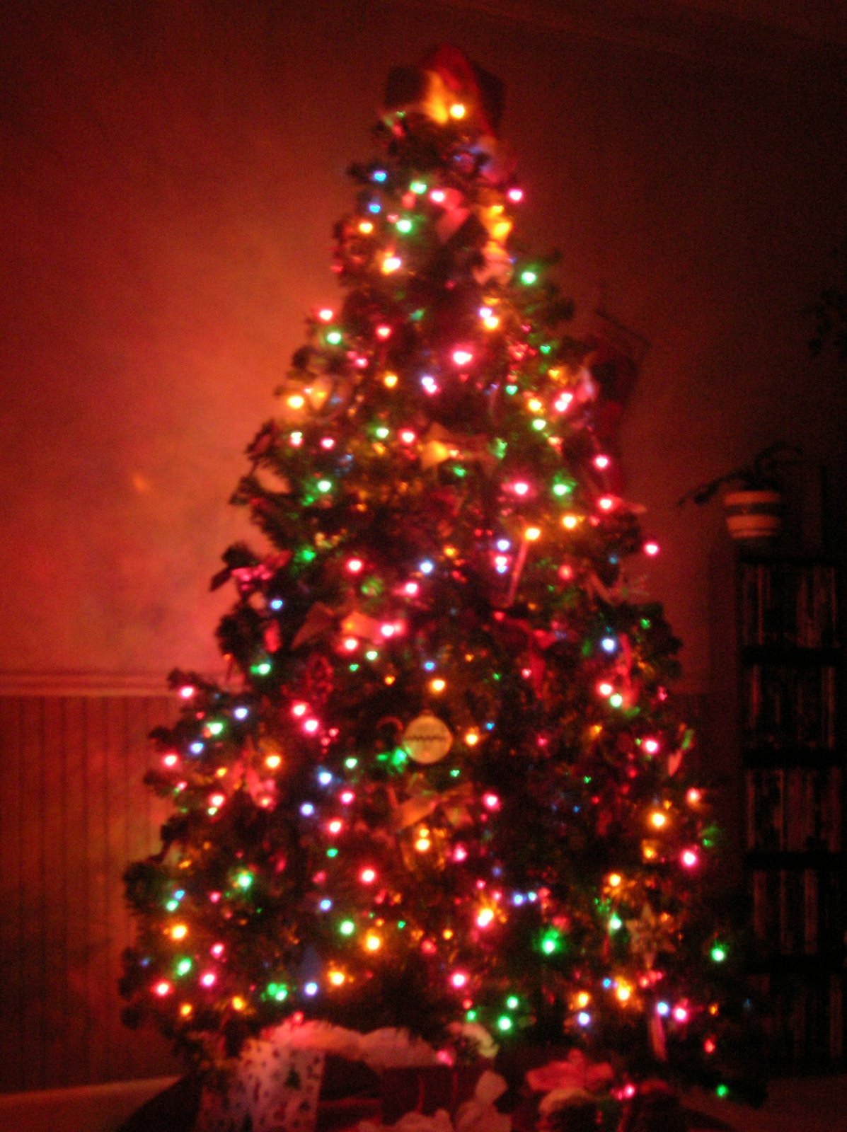 Christmas Tree with Lights