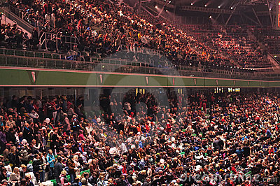 Crowd at Stadium