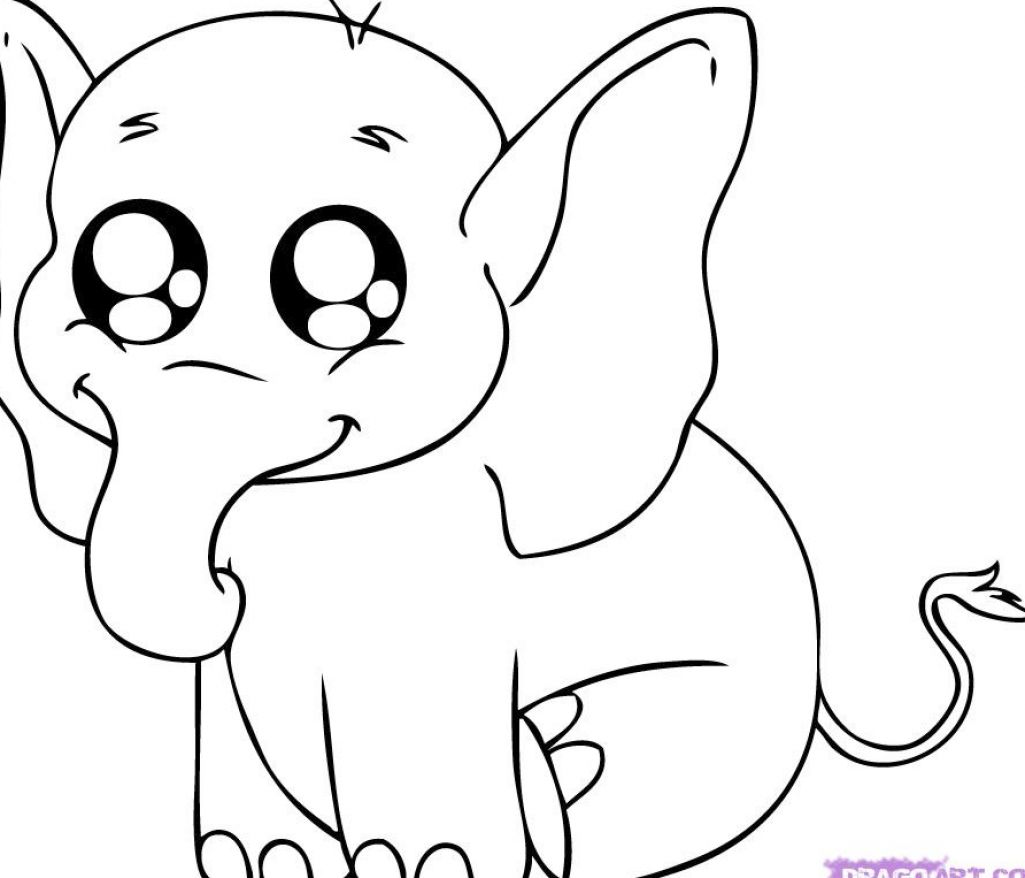 Draw Cute Baby Animals Coloring Pages