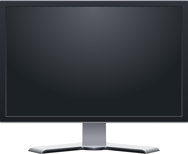 Flat Screen Computer Monitors