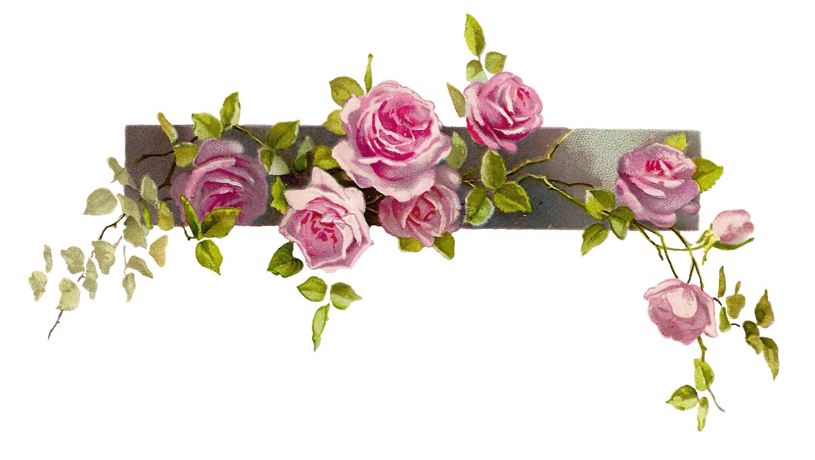 Flowers Roses Borders Free Clip Art