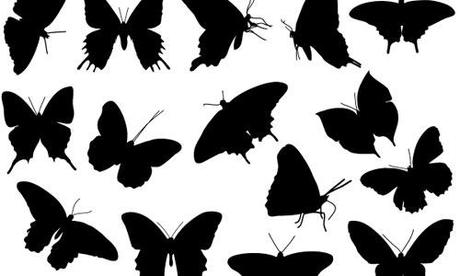 Free Vector Silhouettes Butterfly