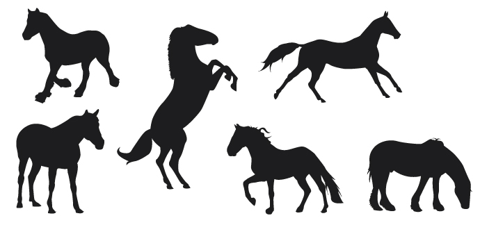 Horse Silhouette Vectors