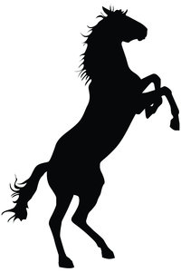 Horse Standing On Two Legs Silhouette