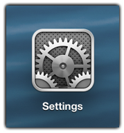 iOS Settings Icon