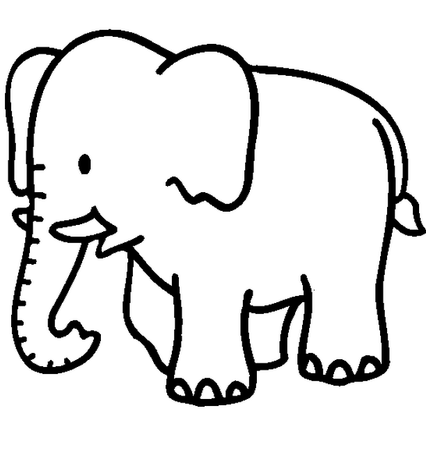 Jungle Animal Coloring Pages