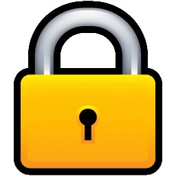 Password Lock Icon