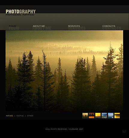 Professional Flash Website Templates Professional Flash Website Templates