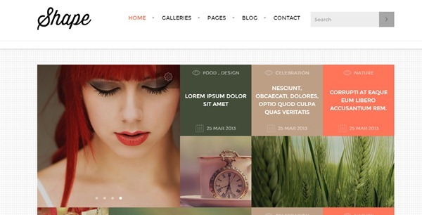 Professional Photography Website Templates