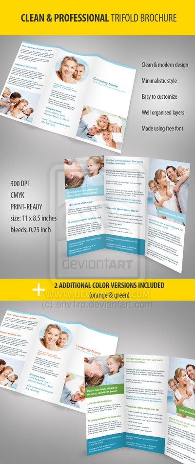 Professional Tri-Fold Brochure