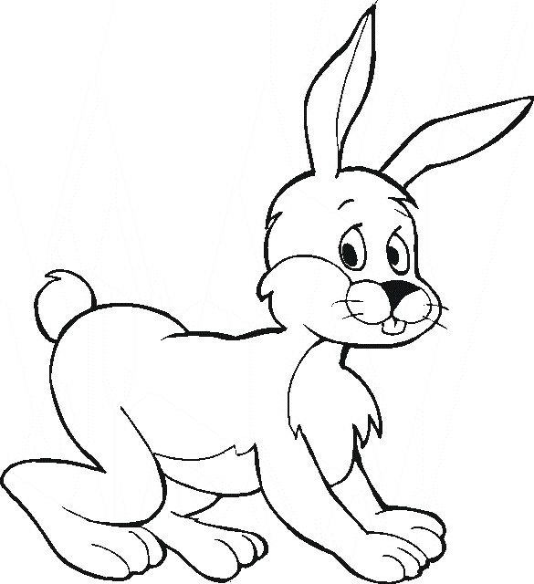 Rabbit Animal Coloring Pages