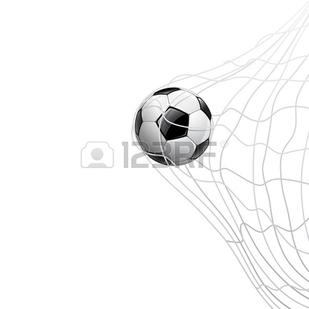 Soccer Ball Goal Net