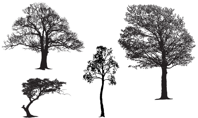 Tree Silhouette Free Vectors