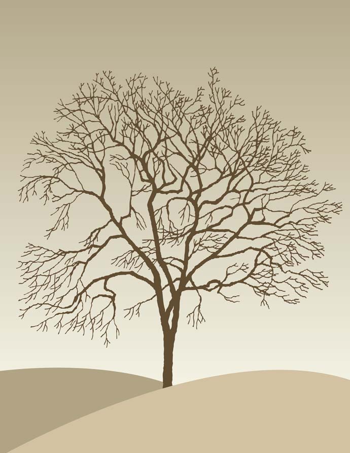 Tree Silhouette Free Vectors