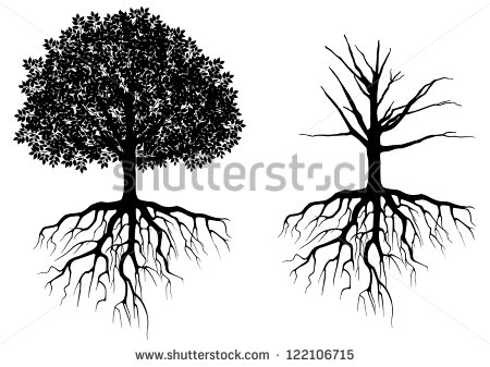 Tree with Roots Vector