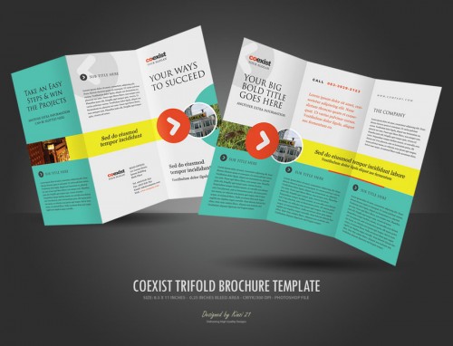 Tri-Fold Brochure Design Ideas