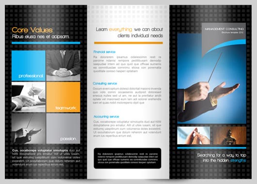 Tri-Fold Brochure Design