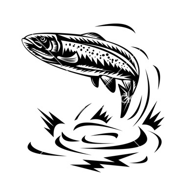 Trout Jumping Vector Fish