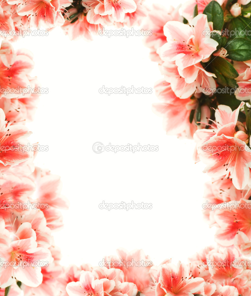 Beautiful Flower Page Borders