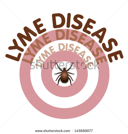 Bulls Eye Rash Lyme Disease