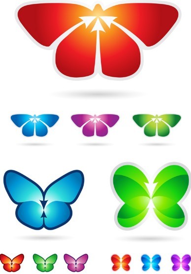 Butterfly Vector Illustration