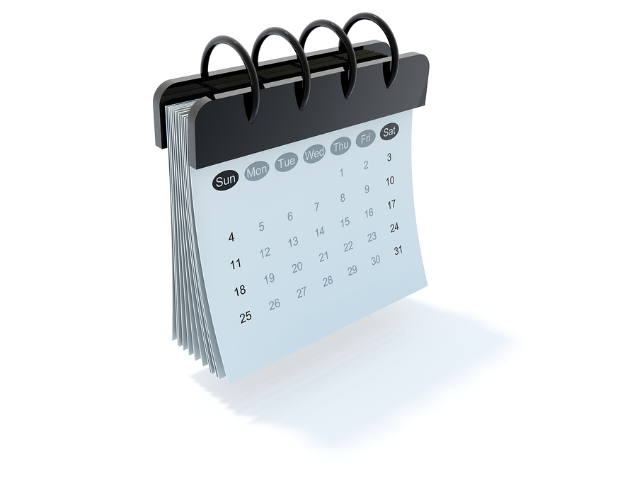 Calendar Icon