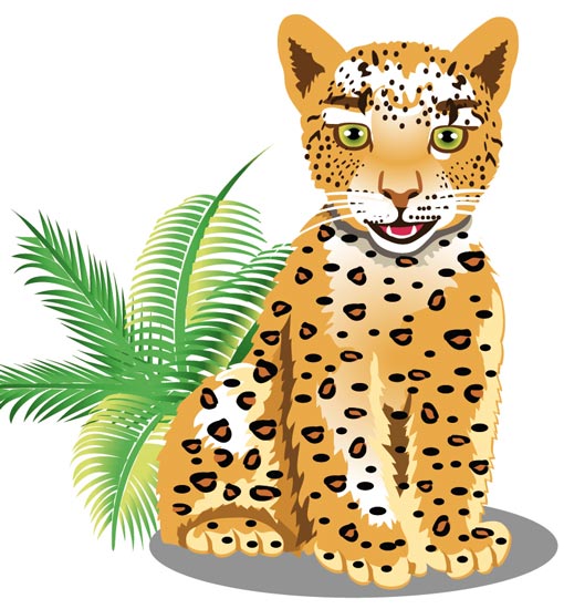 Cartoon Jungle Animals Leopard