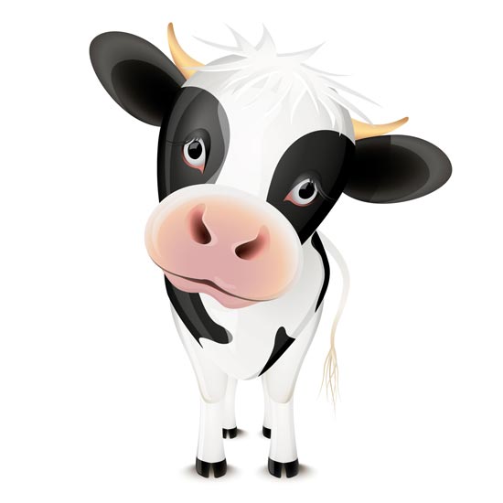 Cute Cartoon Baby Cow