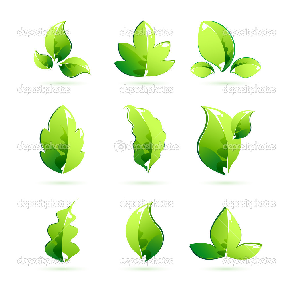 Different Leaf Shapes