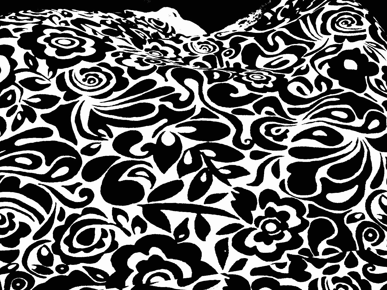 Floral Patterns Black and White