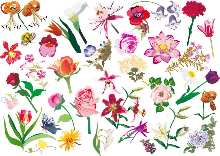 11 Flower Vector Set Images