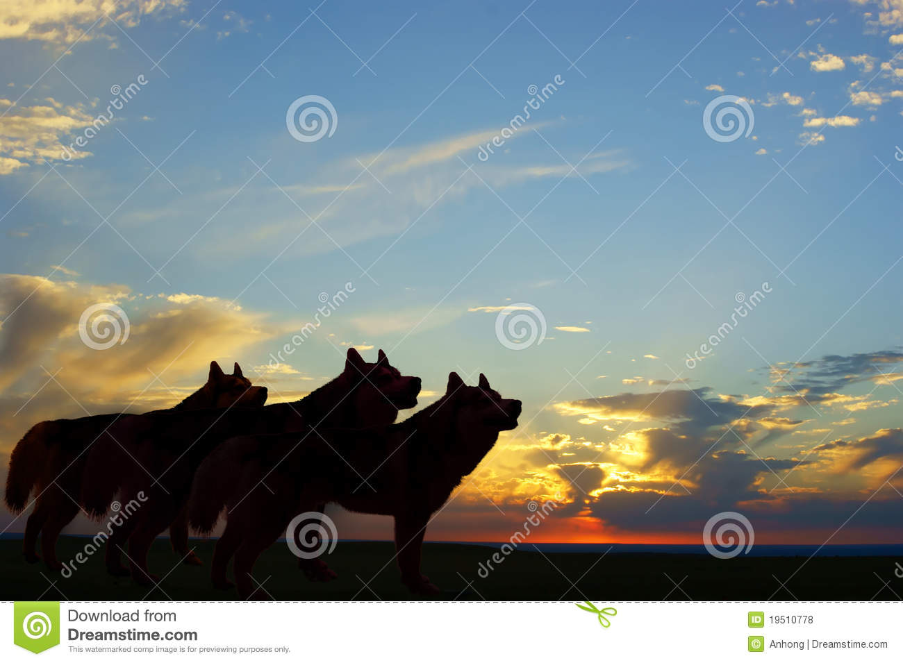 Free Pics of Twilight Wolves Free Pics of Twilight Wolves