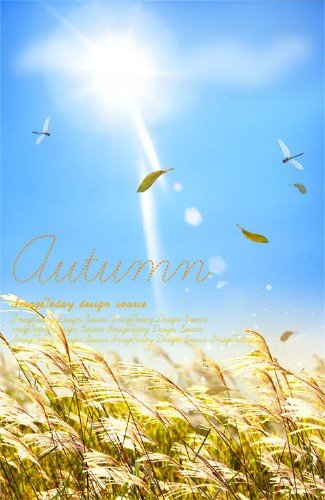 Free Psd Magazine Cover Template Free Psd Magazine Cover Template