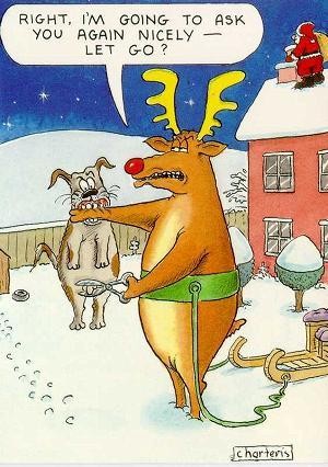 Funny Christmas Cartoons and Jokes