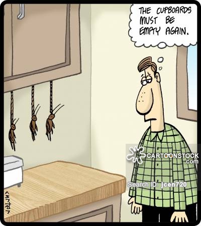 Funny Roach Cartoons